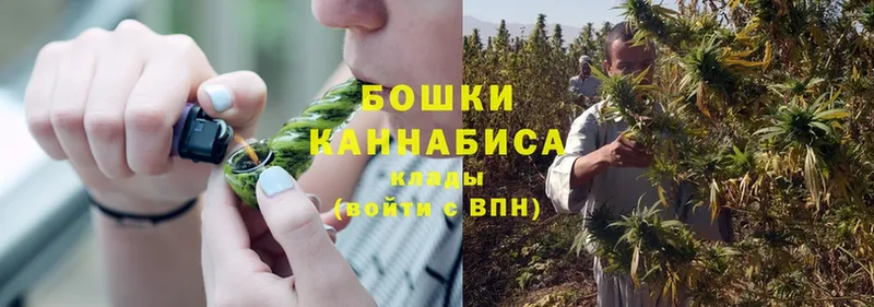 где можно купить наркотик  Дорогобуж  Канабис SATIVA & INDICA 